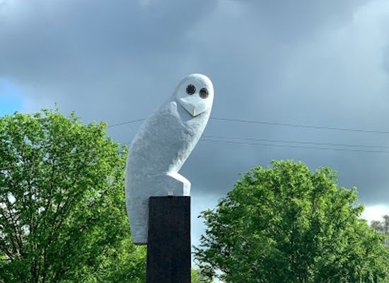australia/canberra/landmark/owl