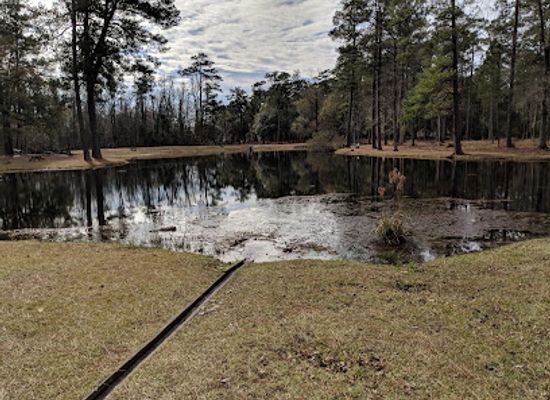 south-carolina/sandhills/landmark/lee-state-park