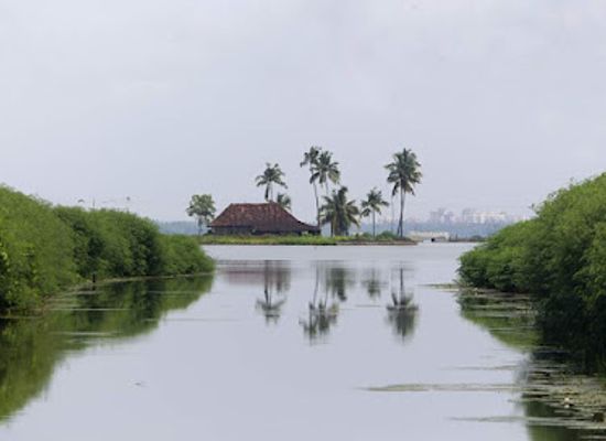 india/kerala-backwaters/landmark/kandakkadavu-view-point