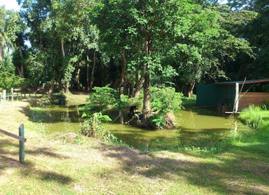 suriname/interior-rainforest/landmark/paramaribo-zoo
