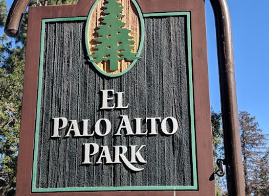 california/palo-alto/landmark/el-palo-alto-park