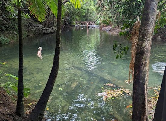 australia/cape-tribulation/landmark/mason-s-swimming-hole