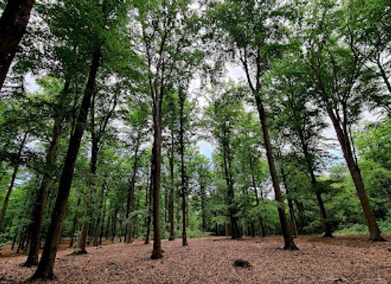sweden/halland/attraction/galgberget