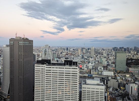 japan/tokyo/landmark/tokyo-metropolitan-government-building-north-observatory