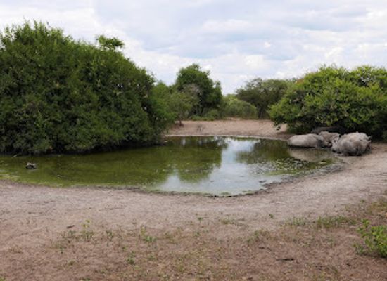 botswana/tuli-block/landmark/khama-rhino-sanctuary