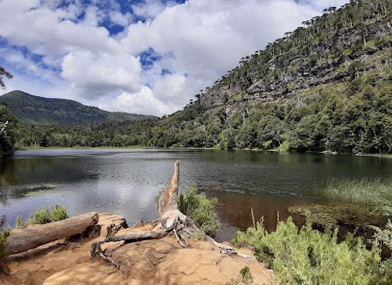 chile/araucania-region/landmark/tolhuaca-national-park