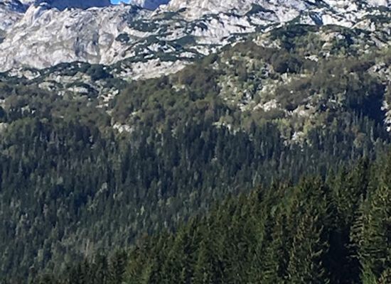 montenegro/durmitor-national-park/landmark/country-apartments-for-sale-in-durmitor-national-park