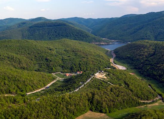 kosovo/podujevo/landmark/bear-sanctuary-prishtina