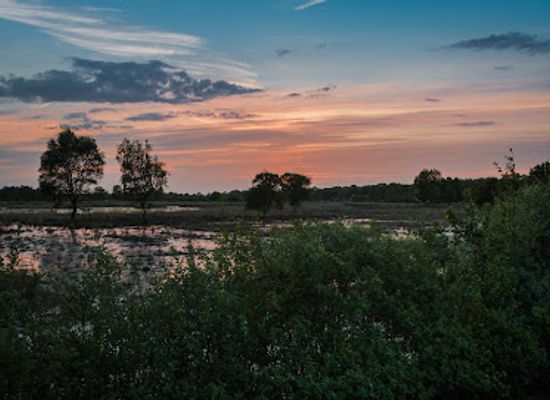 netherlands/overijssel/landmark/wierdense-veld
