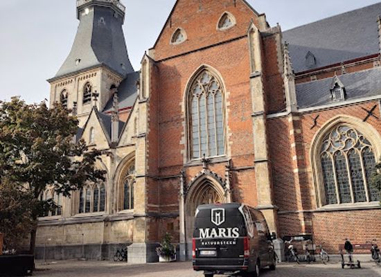belgium/hasselt/landmark/cathedral-st-quintinus