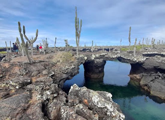 ecuador/galapagos-islands/landmark/pahoehoe-galapagos-tours