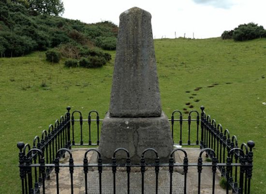 ireland/county-kildare/landmark/dan-donnelly-s-monument