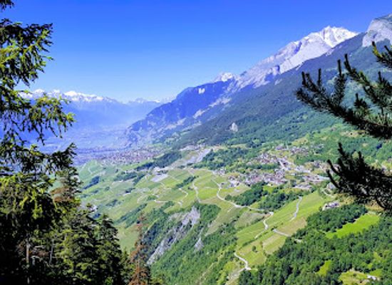 switzerland/valais/landmark/bisse-du-torrent-neuf