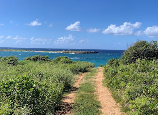 anguilla/shoal-bay-village/landmark/blolly-ham-bay