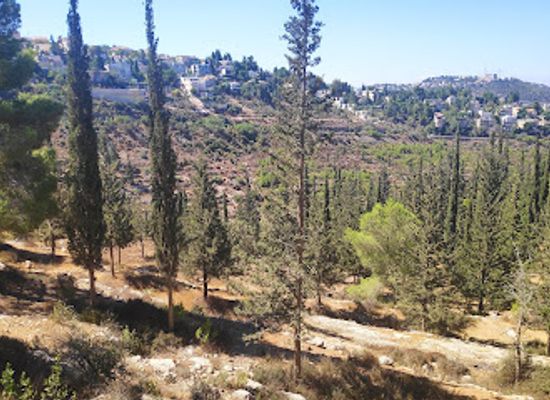 israel/jerusalem-district/landmark/jerusalem-forest