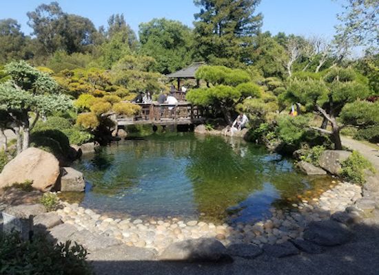 california/hayward/landmark/japanese-gardens