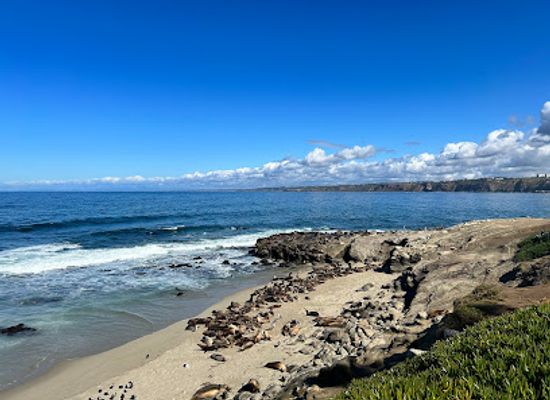 california/san-diego-beaches/landmark/boomer-beach