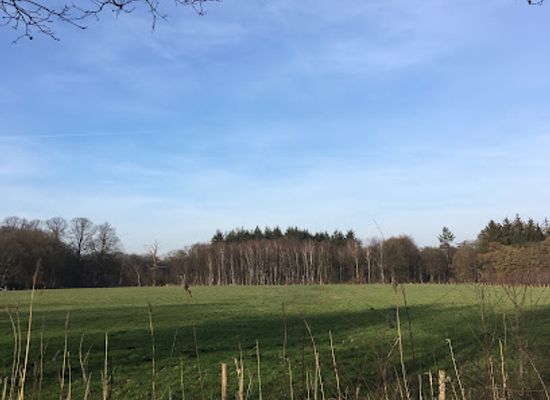 netherlands/gooi/landmark/beukenburg-utrechts-landschap