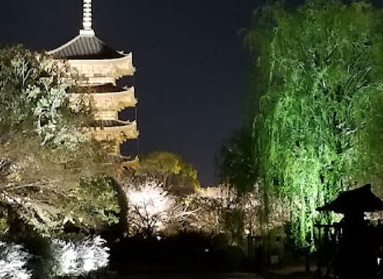 japan/kyoto/landmark/kahitsukan-kyoto-modern-art-museum
