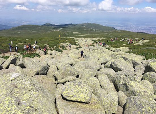 bulgaria/vitosha-mountain/landmark/south-park
