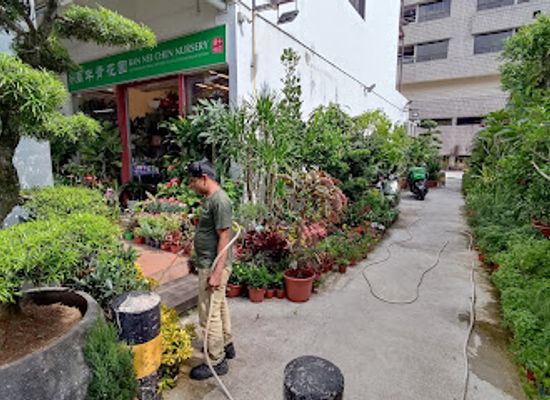 singapore/bukit-timah/landmark/ban-nee-chen-nursery-sixth-avenue