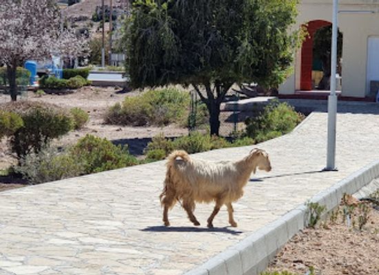oman/al-batinah-south-governorate/landmark/
