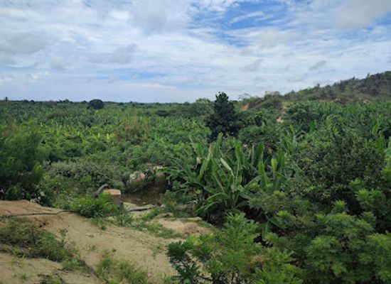 peru/tumbes/landmark/cerro-mas-grande-de-tumbes