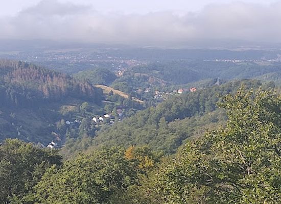 germany/harz-national-park/landmark/aussichtsturm-kuckholzklippe