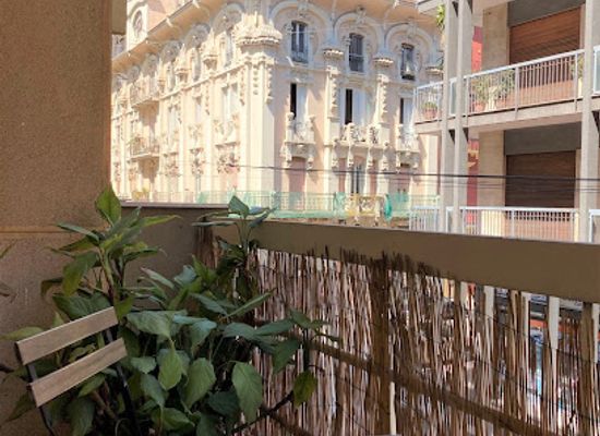 italy/bari/landmark/olive-tree-hostel