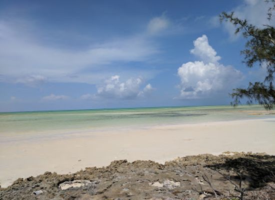 the-bahamas/andros/landmark/crab-replenishment-reserve