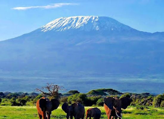 kenya/kilimanjaro-region/landmark/mount-kilimanjaro-climbing