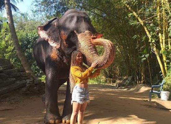 sri-lanka/pinnawala-elephant-orphanage/landmark/maharaja-elephant-no-17