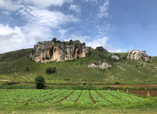 myanmar-burma/kalaw/landmark/byu-ktaong