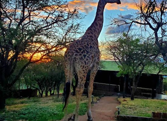 tanzania/ngorongoro-conservation-area/landmark/ngorongoro-wild-camp