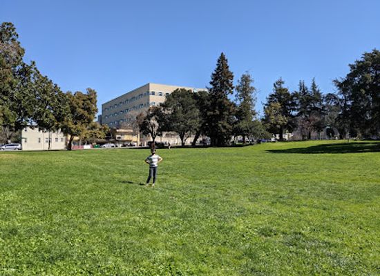 california/oakland/landmark/mosswood-park