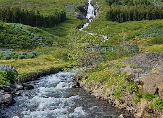 iceland/westfjords/landmark/tungudalur-vestfjaroagong