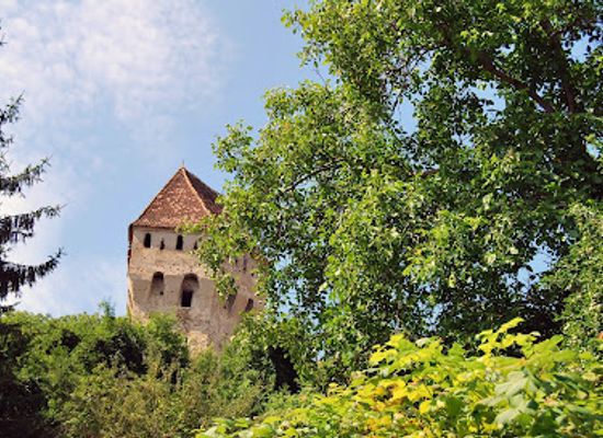romania/sighisoara/landmark/the-riflemen-s-gallery
