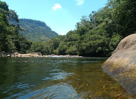 colombia/cauca-valley/landmark/plazoleta-jairo-varela-o-de-la-calenidad