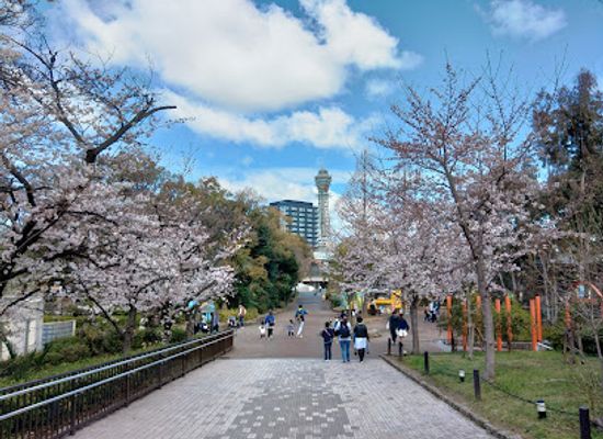 japan/osaka/tennoji/landmark/tennoji-zoo