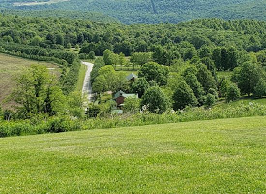 pennsylvania/laurel-highlands/landmark/frank-lloyd-wright-s-kentuck-knob