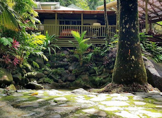 australia/daintree-rainforest/landmark/daintree-secrets-rainforest-sanctuary