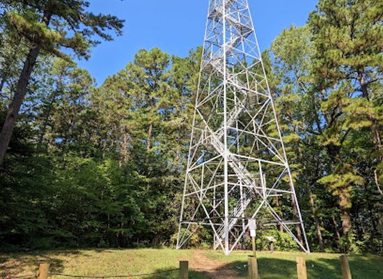 indiana/hoosier-national-forest/landmark/hickory-ridge-lookout-tower