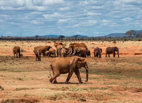kenya/tsavo-region/landmark/tsavo-east-national-park