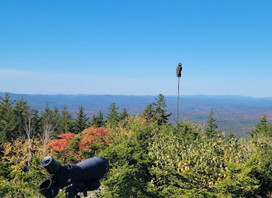 new-hampshire/mount-monadnock/landmark/miller-state-park