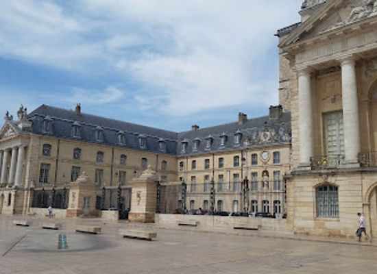 france/dijon/landmark/musee-magnin