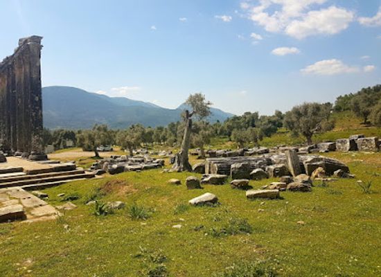 turkiye/aegean-region/landmark/euromos-ruins