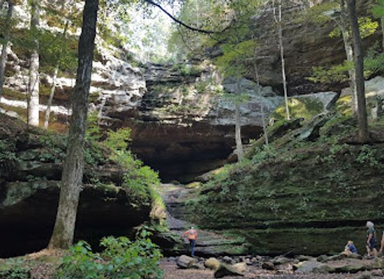 illinois/southern-illinois/landmark/ferne-clyffe-state-park