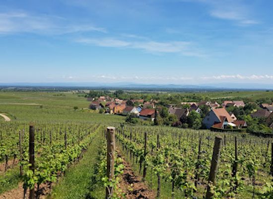 france/alsace-wine-route/landmark/route-des-vins-d-alsace