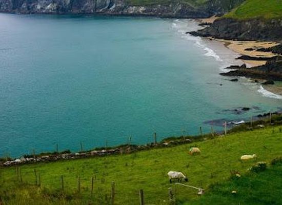 ireland/county-kerry/landmark/dingle-bay-kerry