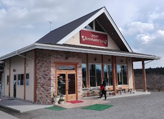 japan/nikko/landmark/nikko-strawberry-park